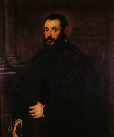 Jacopo Tintoretto Portrait of Nicolaus Padavinus oil painting image